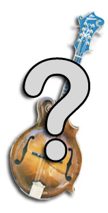 have a mandolin question?