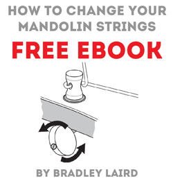 free eBook